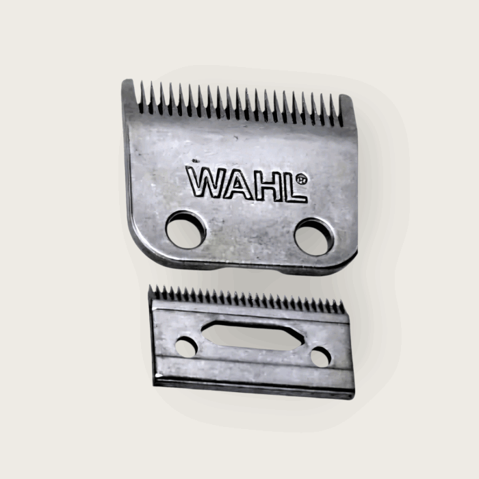 Photoroom-20250310_065554_4TrA4.png Photoroom-20250310_065554_4TrA4.png